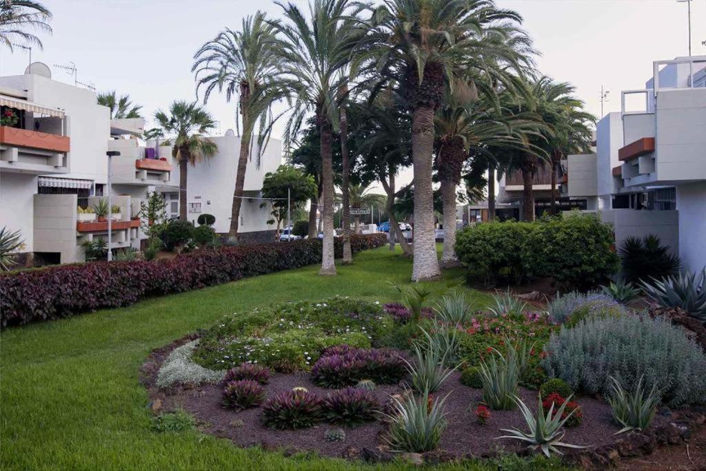 Tenerife Primavera 아로나 외부 사진