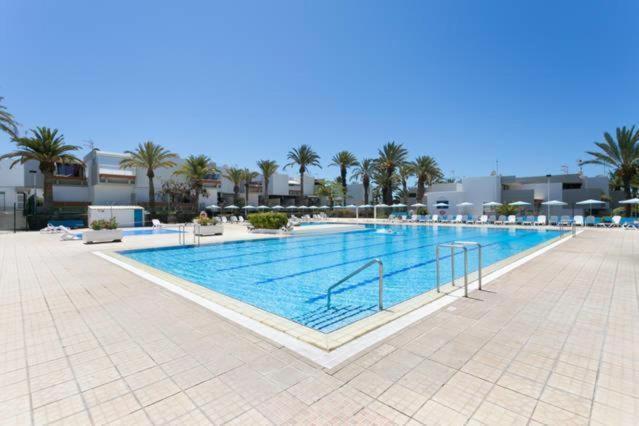 Tenerife Primavera 아로나 외부 사진